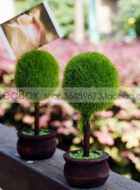 RedBox婚礼用品签到台布置 绿色小盆栽席位卡座席位夹 圆形/爱心