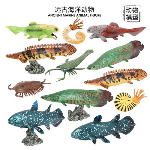 仿真远古海洋动物模型
