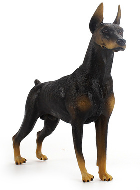 15.5cm黑色杜宾犬模型宠物狗动物笃宾犬牧羊犬警犬摆件早教玩具