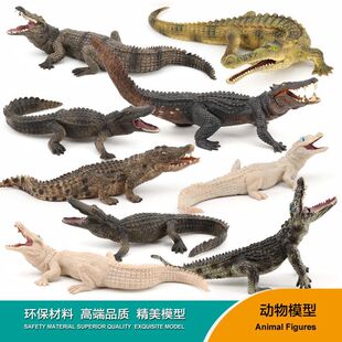 鳄鱼模型仿真尼罗鳄野猪鳄扬子鳄黑帝鳄美洲儿童玩具摆件科普早教