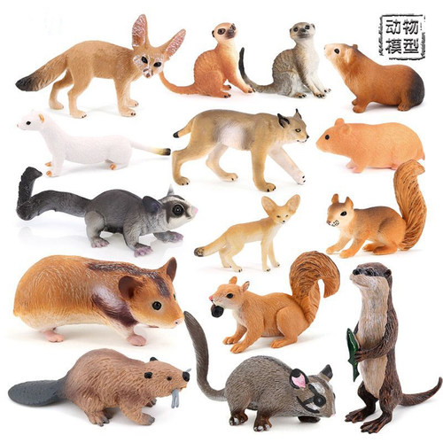 15种动物模型天竺鼠松鼠猞猁