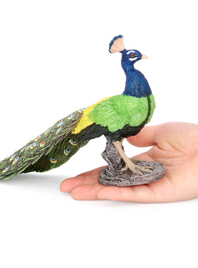 24cm孔雀模型蓝色绿色鸟类飞禽动物认知教具儿童玩具摆件礼物
