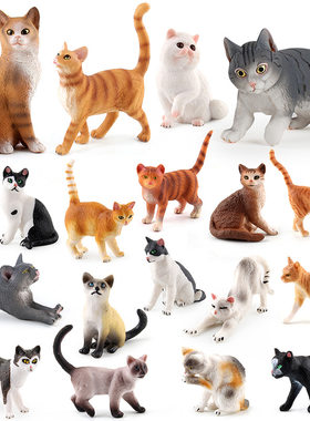 20猫模型暹罗猫伯曼猫白猫黑猫波斯猫黄猫花猫小动物摆件早教玩具