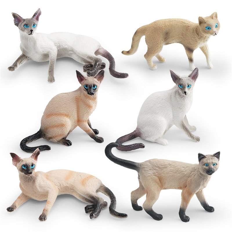 猫咪动物模型暹罗猫泰国猫静态装饰摆件仿真儿童认知宠物玩具