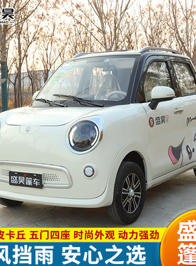盛昊皮卡丘全封闭电动四轮车