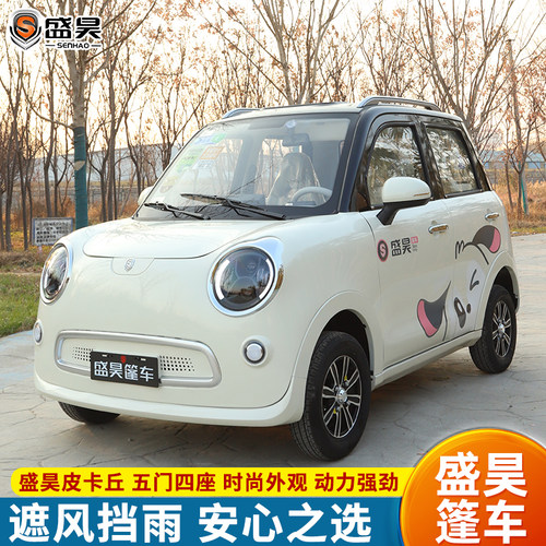 盛昊皮卡丘全封闭电动四轮车