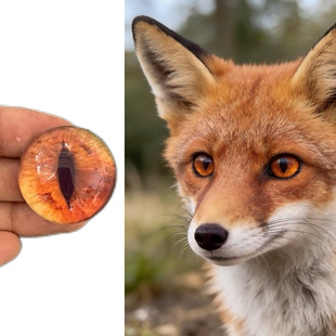 狐狸兽头标本制作玩偶半球玻璃眼睛毛毡动物圆瞳仿真扭扭棒福瑞