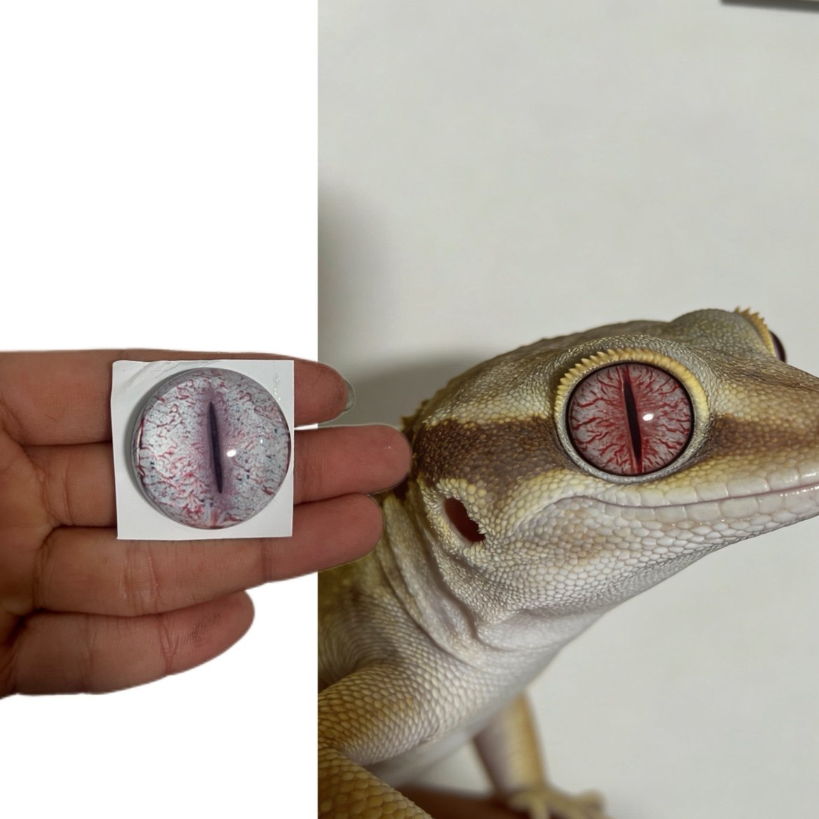 守宫蜥蜴兽头兽装玩偶半球玻璃眼睛毛毡动物圆瞳仿真眼捏捏福瑞,模玩/动漫/周边/娃圈三坑/桌游,furry福瑞/兽装,淘宝优惠券,粉丝福利购,淘宝优惠卷