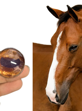 马兽头兽装玩偶半球玻璃眼睛毛毡动物圆瞳仿真马眼扭扭棒福瑞