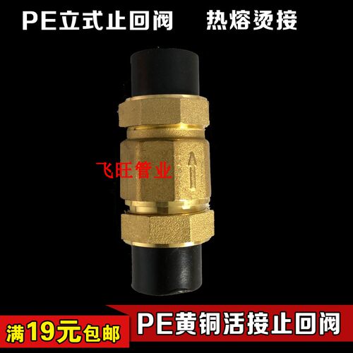 20 25 32PE立式止回阀4分6分1寸逆止阀单向阀黑色自来水管件配件