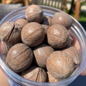 2025年新货正宗临安非手剥原籽山核桃特大籽袋装 送工具坚果零食