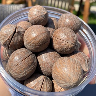 2025年新货正宗临安非手剥原籽山核桃特大籽袋装送工具坚果零食