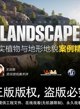 UE4写实植物地形地貌制作案例UE4的Landscape地形系统视频教程