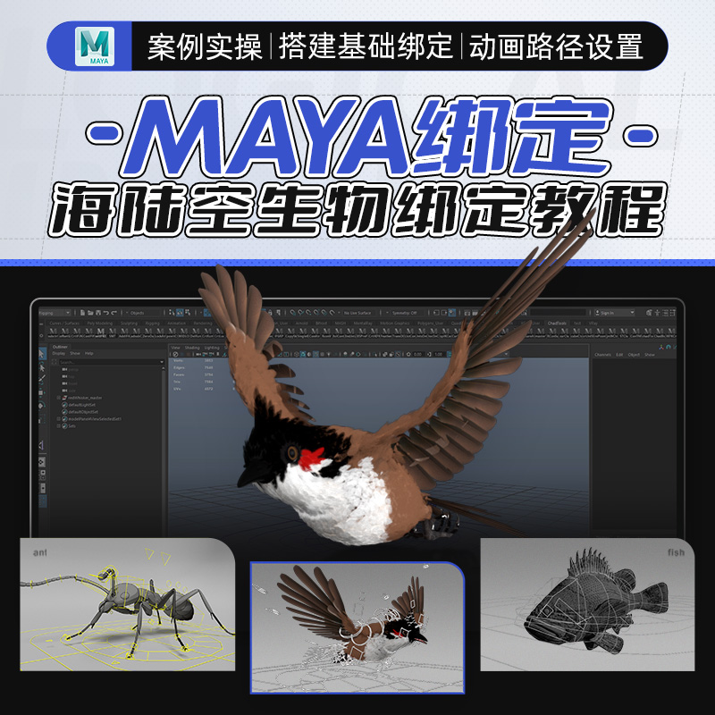 Maya生物绑定海陆空飞禽鱼类多足昆虫流程集合案例实操教程视频