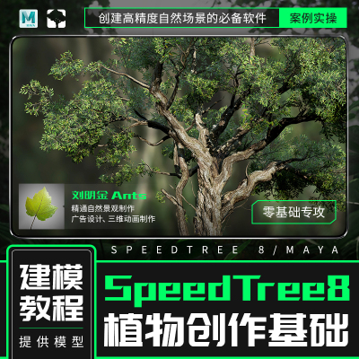 SpeedTree 8零基础视频教程案例为植物创作而生专攻翼狐热卖