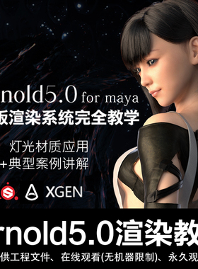 阿诺德中文Arnold5.0 for maya渲染灯光材质应用案例讲解视频教程