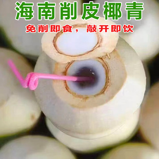 易开 海南文昌削皮椰青新鲜椰子水孕妇水果即食椰汁椰肉 现摘现发