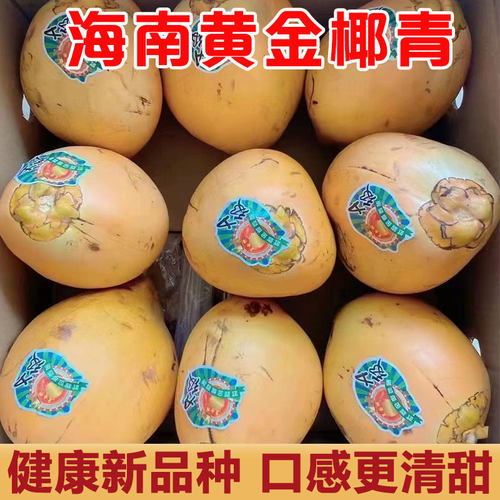 15年老店海南现摘黄金椰子送工具