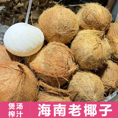 【13年老店】海南老椰子肉厚肉香