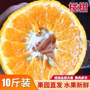 衢州椪柑带箱10斤新鲜水果当季酸甜果园直发包邮柑橘孕妇芦柑大果