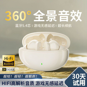 2025新款蓝牙耳机超长续航无感延迟全景音效入耳式游戏无线高音质