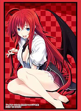 恶魔高校DXD BorN HighSchool DxD 莉亚丝莉雅丝吉蒙里部长卡套