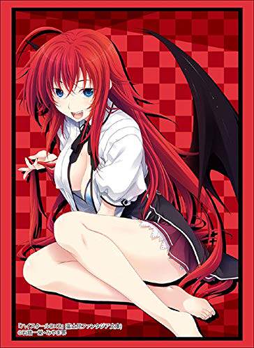恶魔高校DXD BorN HighSchool DxD 莉亚丝莉雅丝吉蒙里部长卡套