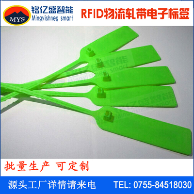 rfid轧带标签HUF电子铅封MAONSI