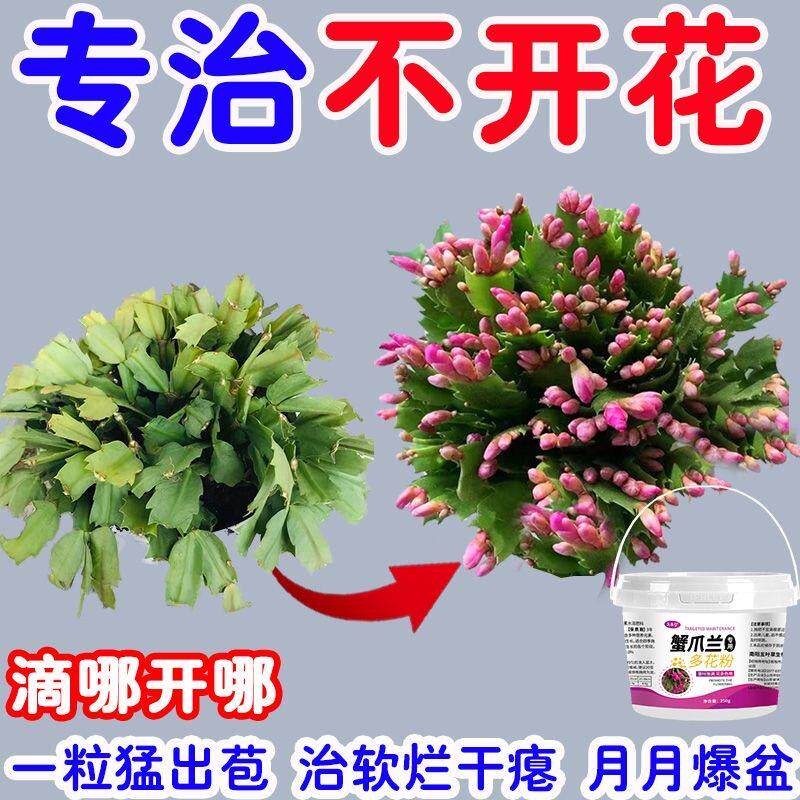 多肉专用肥颗粒防烂根肥生根