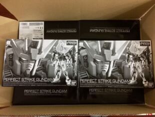 万代模型 PB 限定 RG 拼装 完美强袭 高达 突击 飞行背包 剑炮