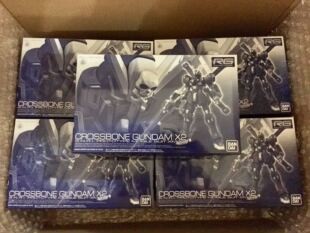万代模型 拼装 PB限定 RG 海盗X2 黑骷髅 高达 CROSSBONE GUNDAM