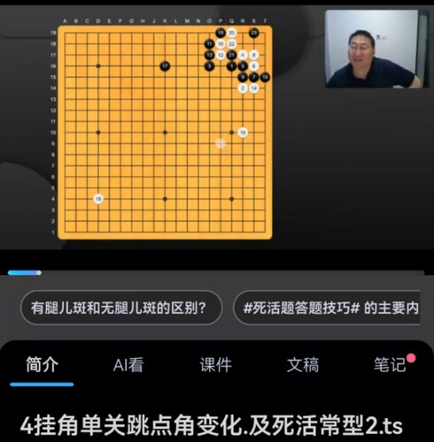 围棋视频课2024年7月爱棋道暑假班袁嘉华i6-i8三期适合业余2-5段