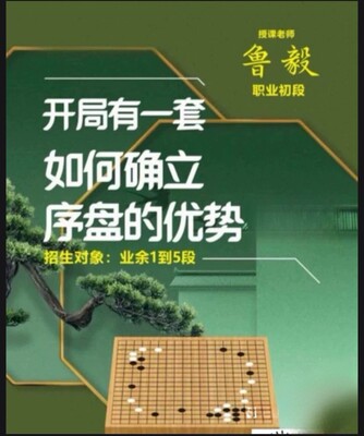 职业棋手鲁毅围棋视频课程开局有一套如何确定序盘的优势20课