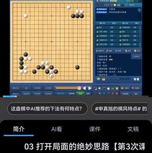 丁道佟禹林职业四段讲围棋战斗强手-中盘作战实用招法10讲带文档