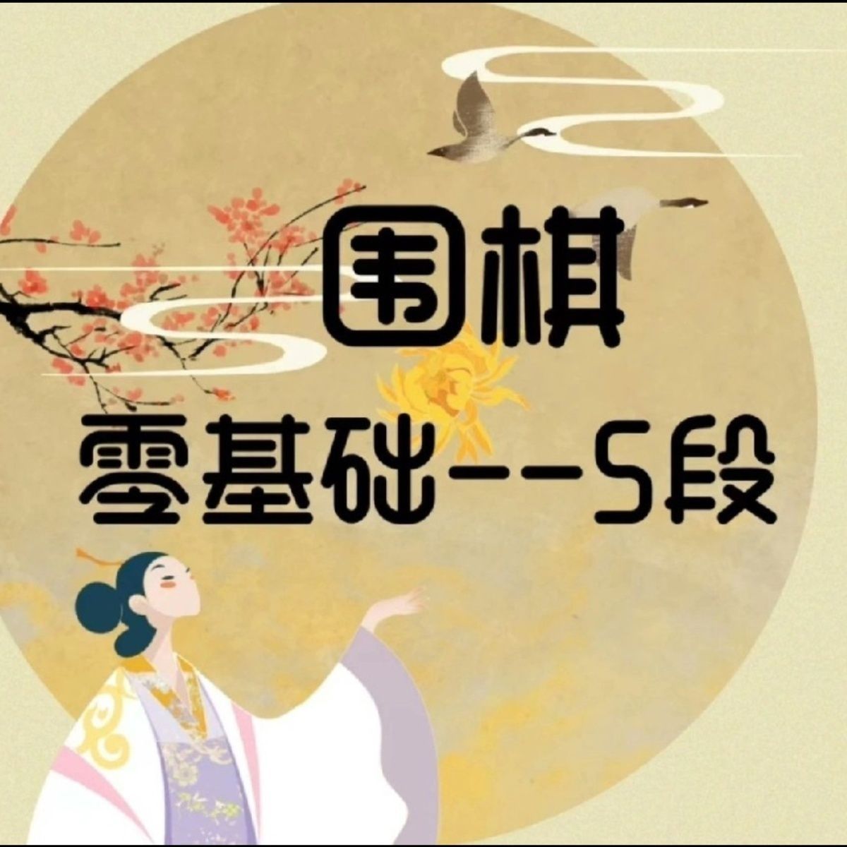 抖音同款芝麻围棋适合零基础5段一共501节