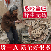 野生当归特级正品 秦岭野生当归中药材甘肃无硫优质当归泡水泡茶