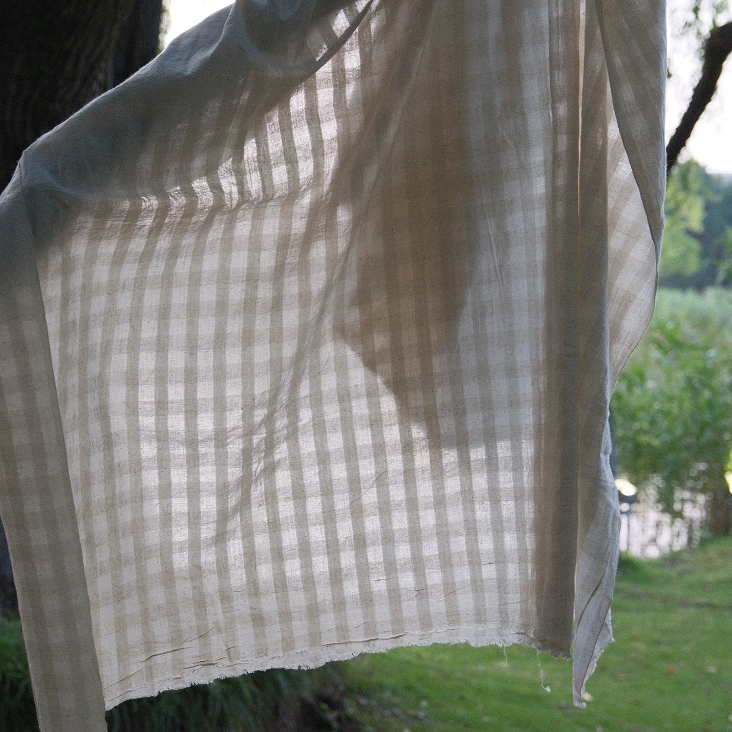 海贝剔透格纹印度棉布