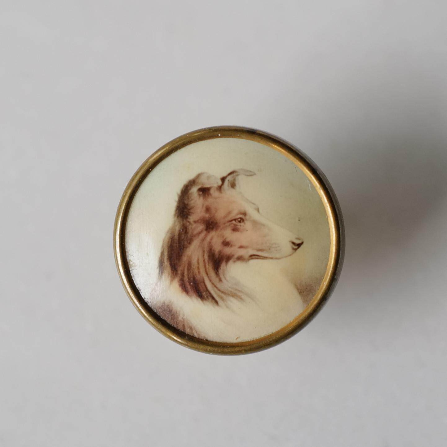 15mm仅1颗英国VINTAGE20世纪早期黄铜边喜乐蒂牧羊犬肖像石印纽扣