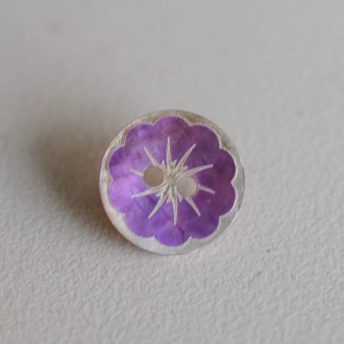 哑光紫藤色花朵贝壳纽扣
