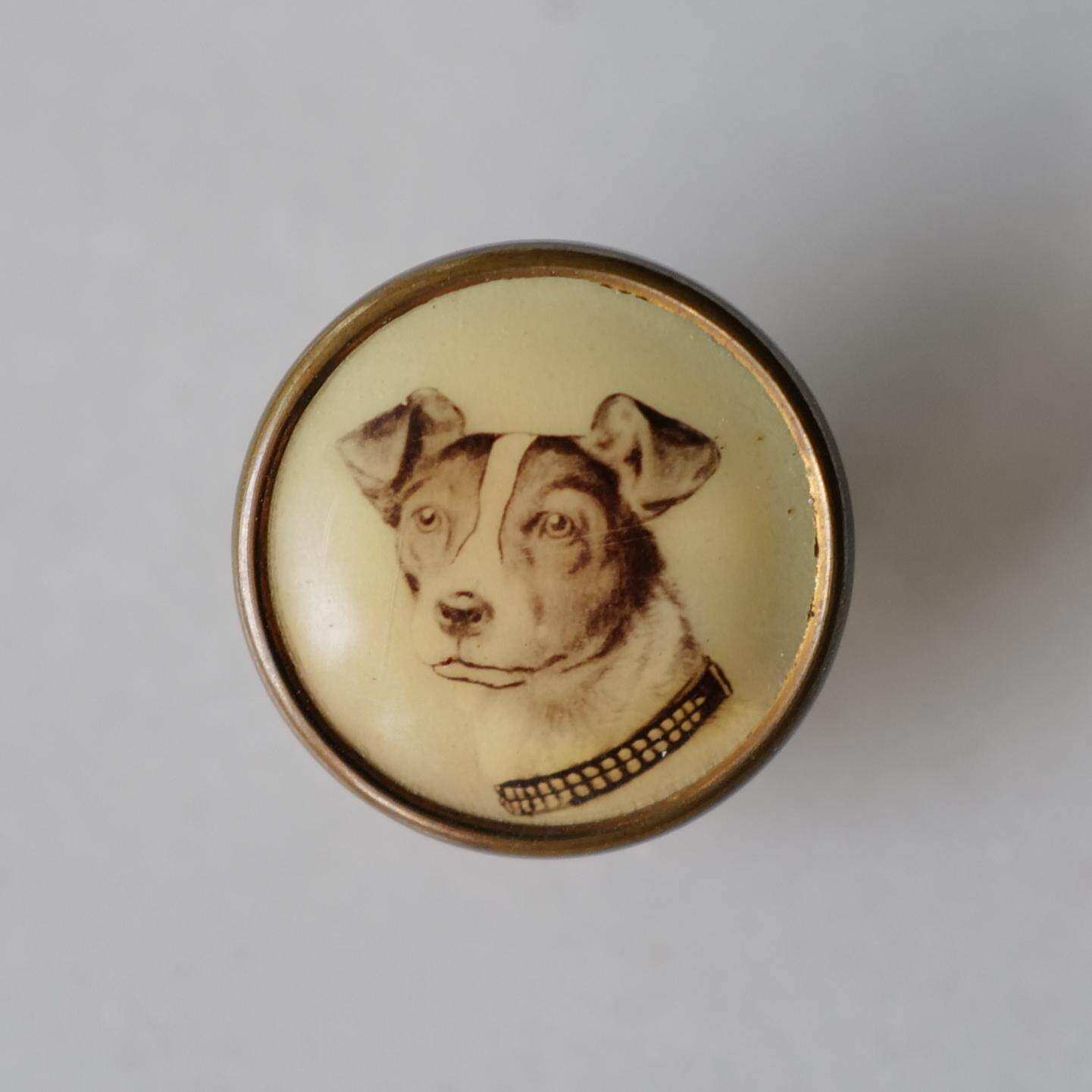 15mm仅1颗英国VINTAGE20世纪早期黄铜边框捷克罗素梗肖像石印纽扣