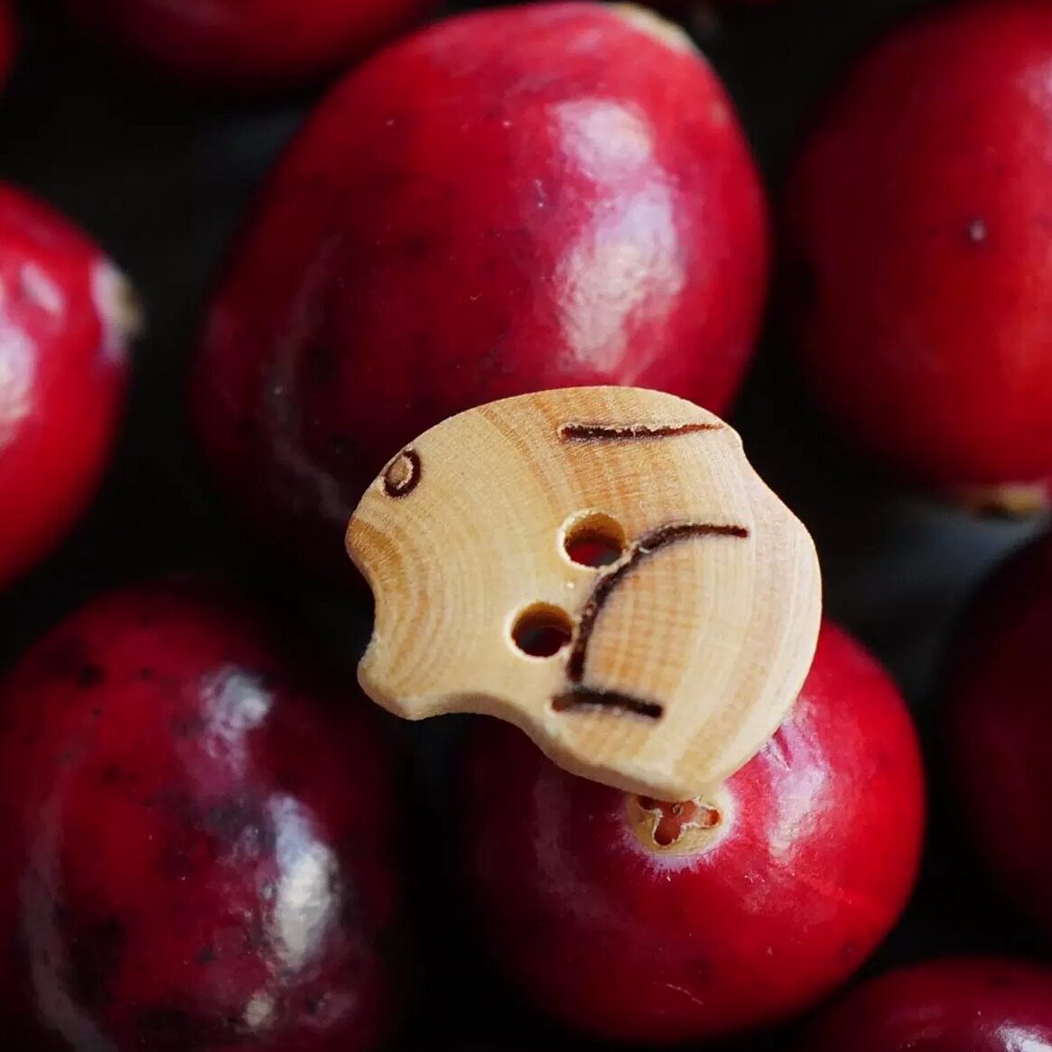 绝版14mm宽一颗价英国Textile Garden木质胖胖福气兔刻纹造型纽扣