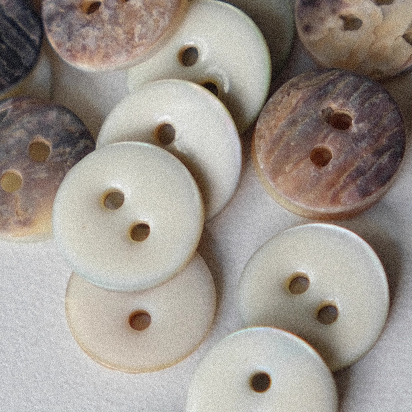 乳白奶油色树脂覆盖贝壳纽扣