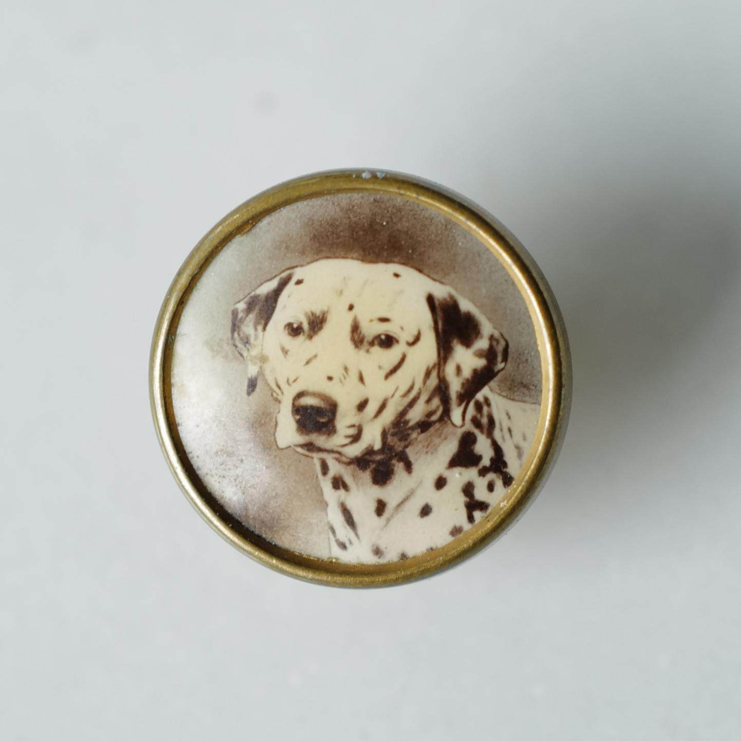 15mm仅1颗英国VINTAGE20世纪早期黄铜边框斑点狗肖像石印纽扣