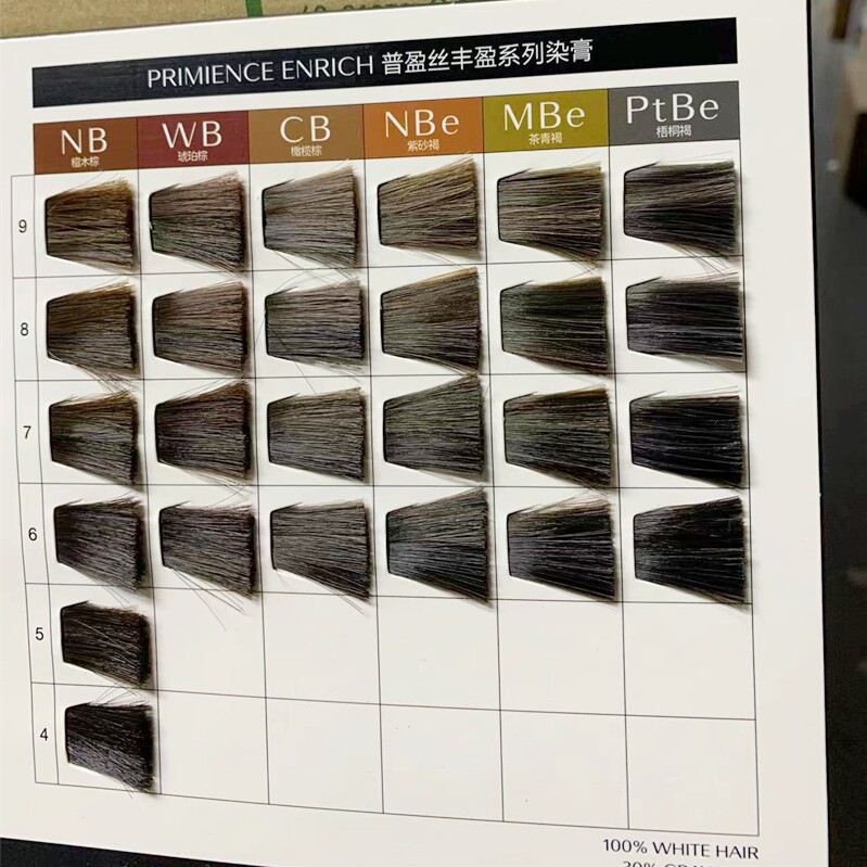 shiseido资生堂2022普盈丝全色系简易色板/色卡选色用美发工具理