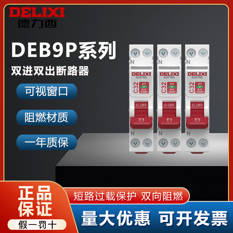 德力西双进双出防雷小型断路器