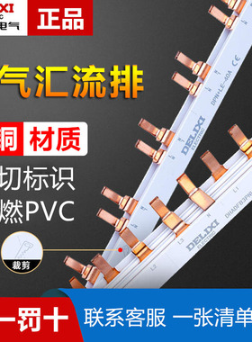 德力西汇流排2P空气开关紫铜排单匹导流排端盖家用配电箱连接片1P