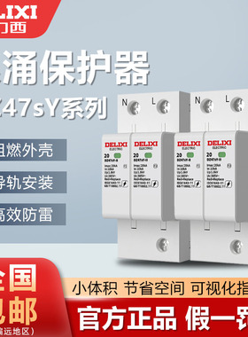 德力西浪涌保护器防雷击家用2P避雷器220v电涌电源模块4P385v二级