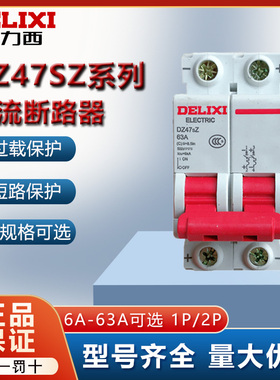 德力西直流空气开关DZ47SZ电瓶车24V12V空开光伏1P2P断路器16A32A