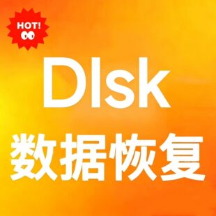 DiskGenius专业版媲美的数据恢复软件专业版数据恢复文件恢复工具