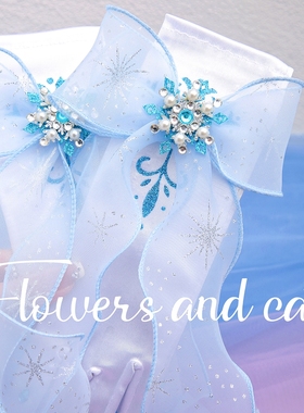 Flowers and Cats艾莎公主手套儿童舞蹈表演饰品女童长筒可爱皇冠